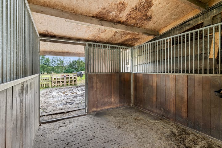 Photo 41 of Borgerzijtak 22