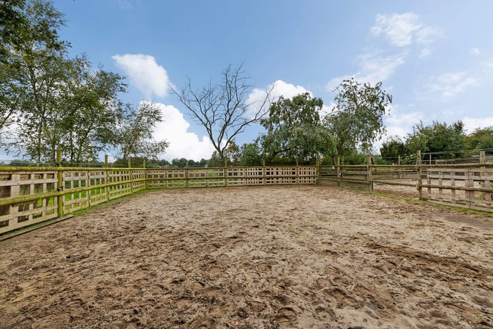 Photo 43 of Borgerzijtak 22