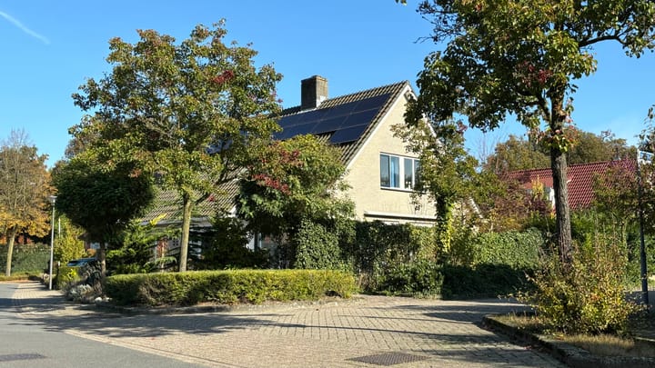 Foto 29 van Zuid Esch 25