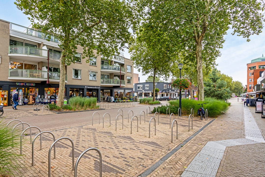 Foto 41 van Meyboomstraat 3-D