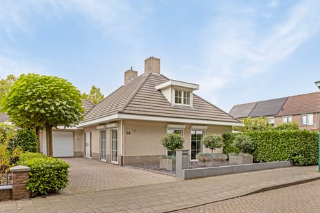 undefined main image