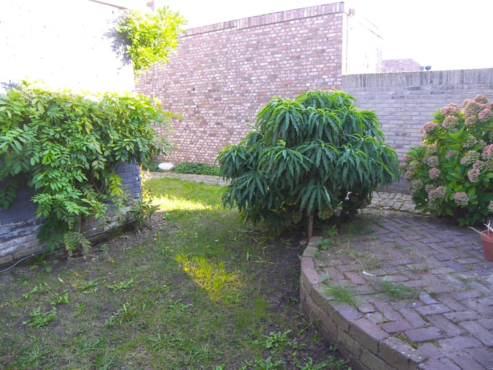 Photo 28 of Sint Josephstraat 18