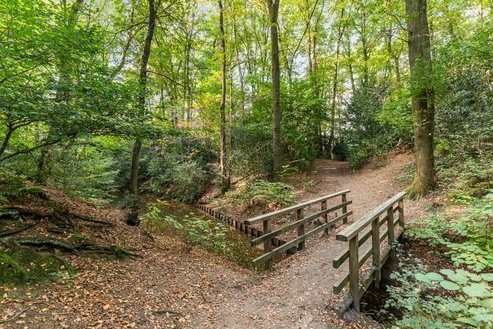 Foto 49 van Hulkestein 41