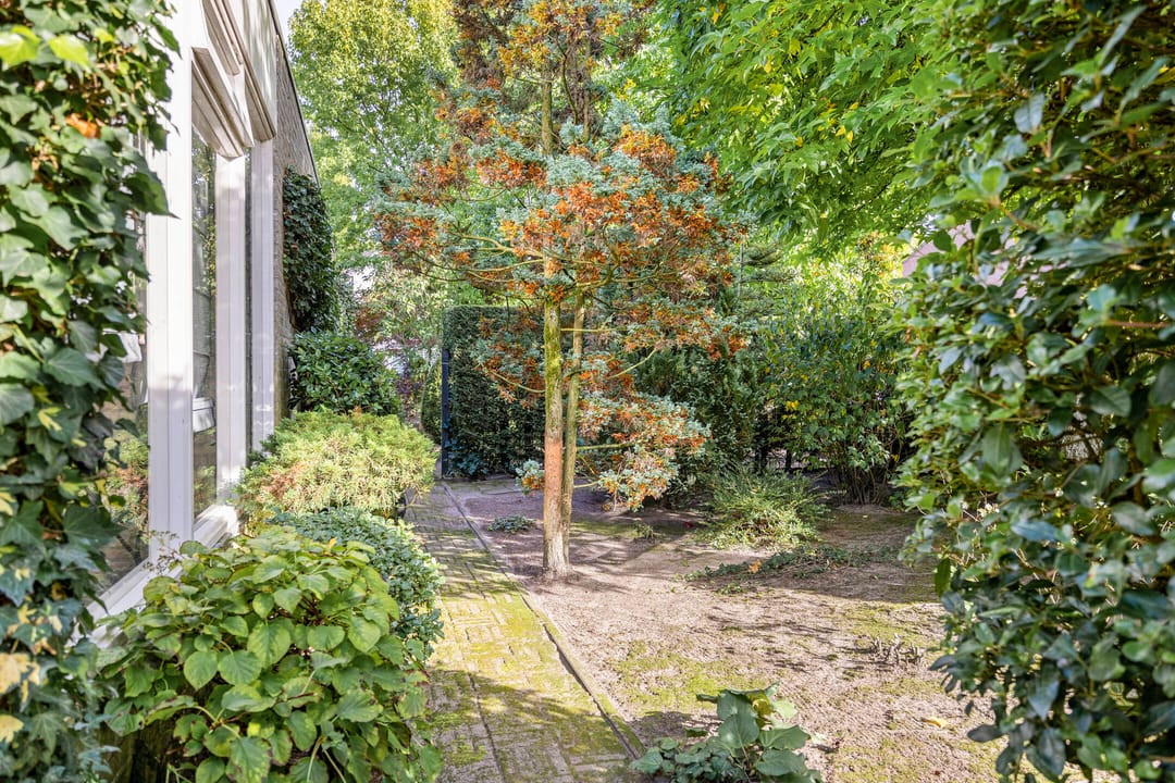 Foto 28 van Beverlaan 9