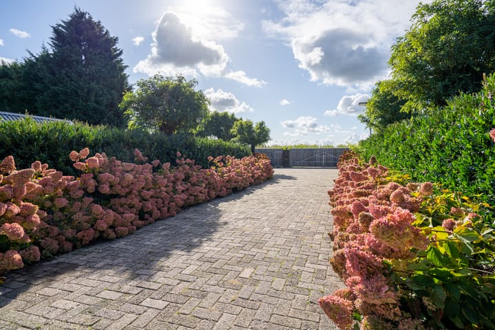 Photo 46 of Dwarsweg 2