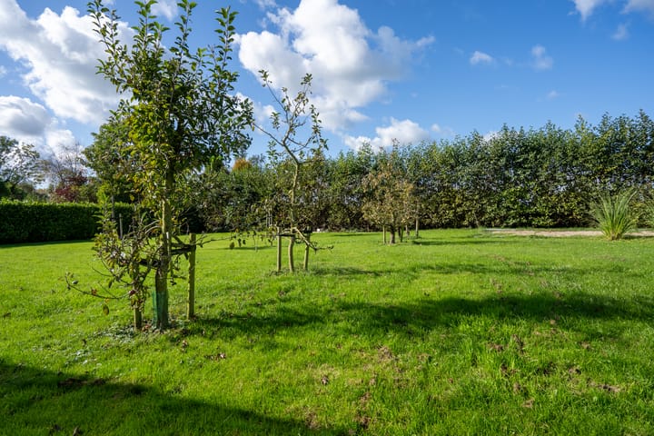 Photo 64 of Dwarsweg 2