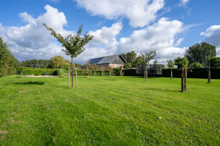 Photo 65 of Dwarsweg 2