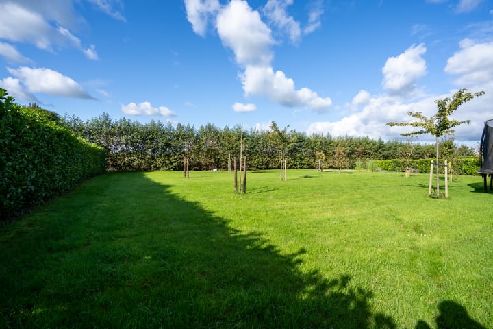 Photo 66 of Dwarsweg 2