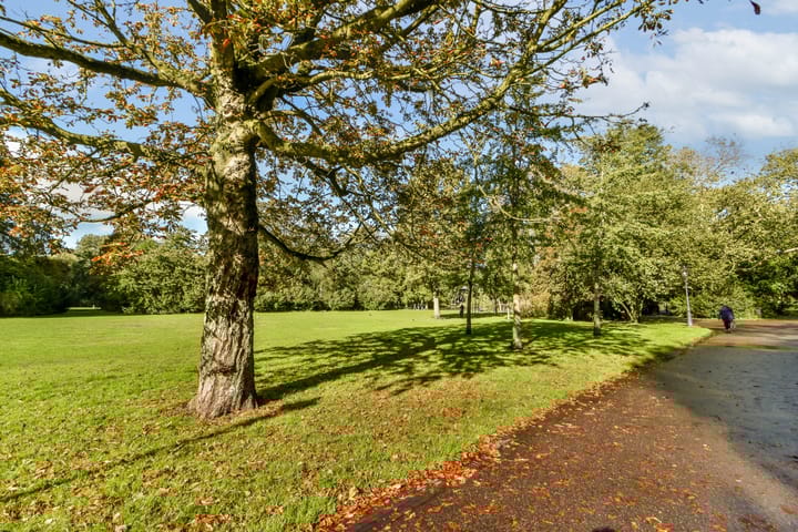 Foto 24 van Vrolikstraat 264-2