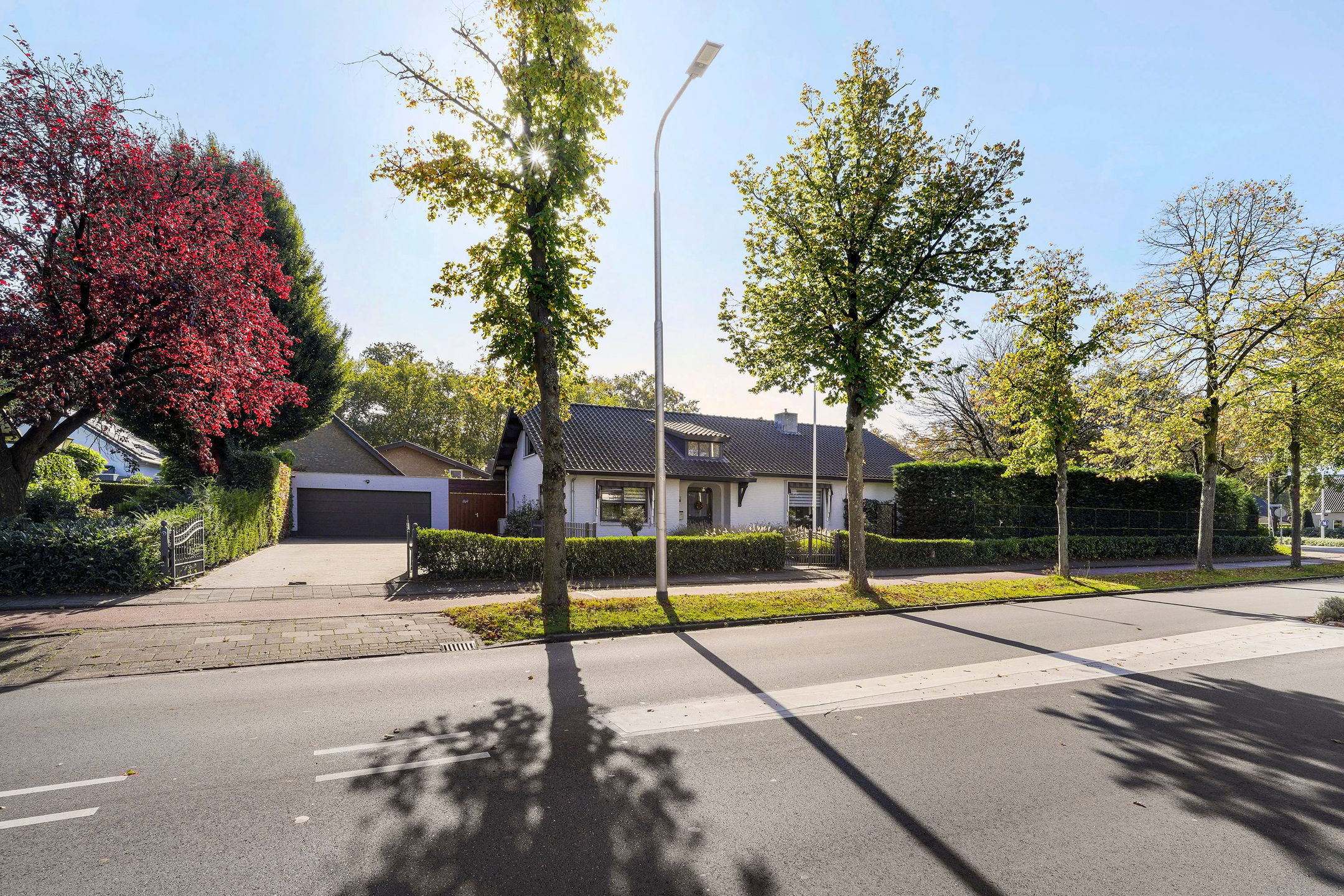 Foto 3 van Puccinilaan 1