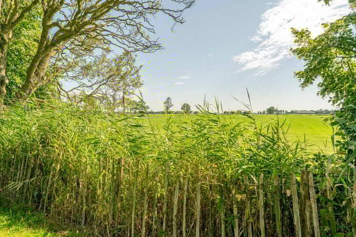 Foto 8 van Hekkumerweg 4