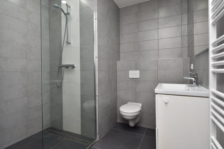 Foto 5 van De Carpentierstraat 113-B