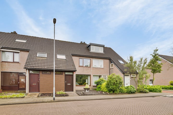 Bekijk foto van Haneven 29