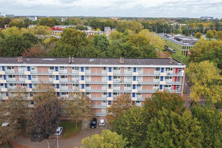 Bekijk foto van Professor Cobbenhagenlaan 376