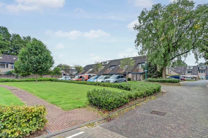 Foto 2 van Perseus 2