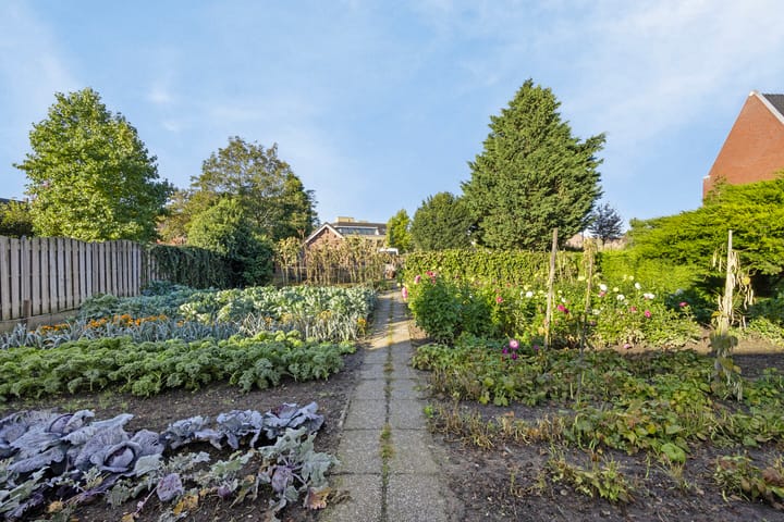 Foto 2 van Mgr. Zwijsenplein 24