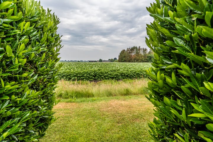 Foto 32 van Streekje 11-B