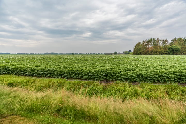 Foto 33 van Streekje 11-B