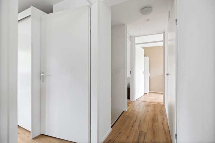 Foto 15 van Leonard Springerlaan 321