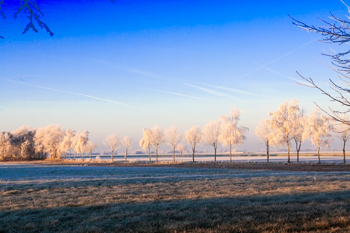 Bekijk foto 78 van Oud Avereest 52