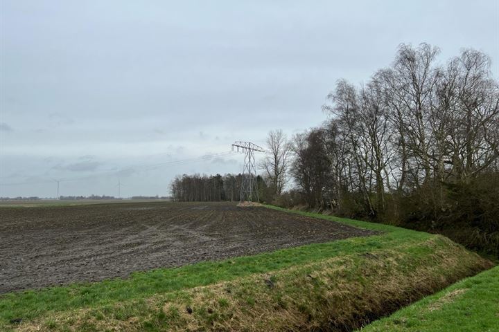 View photo 5 of Torenveen 5