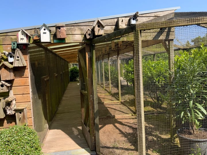 Foto 44 van Turfstraat 36