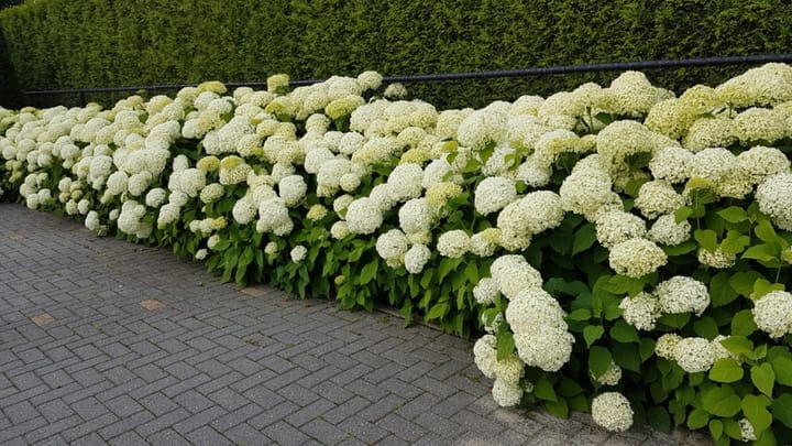 Foto 45 van Turfstraat 36