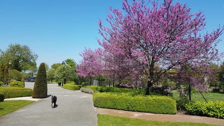 Foto 47 van Turfstraat 36