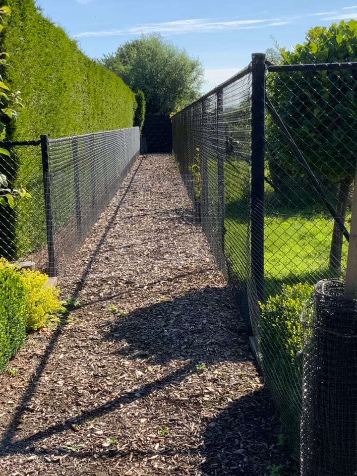 Foto 48 van Turfstraat 36