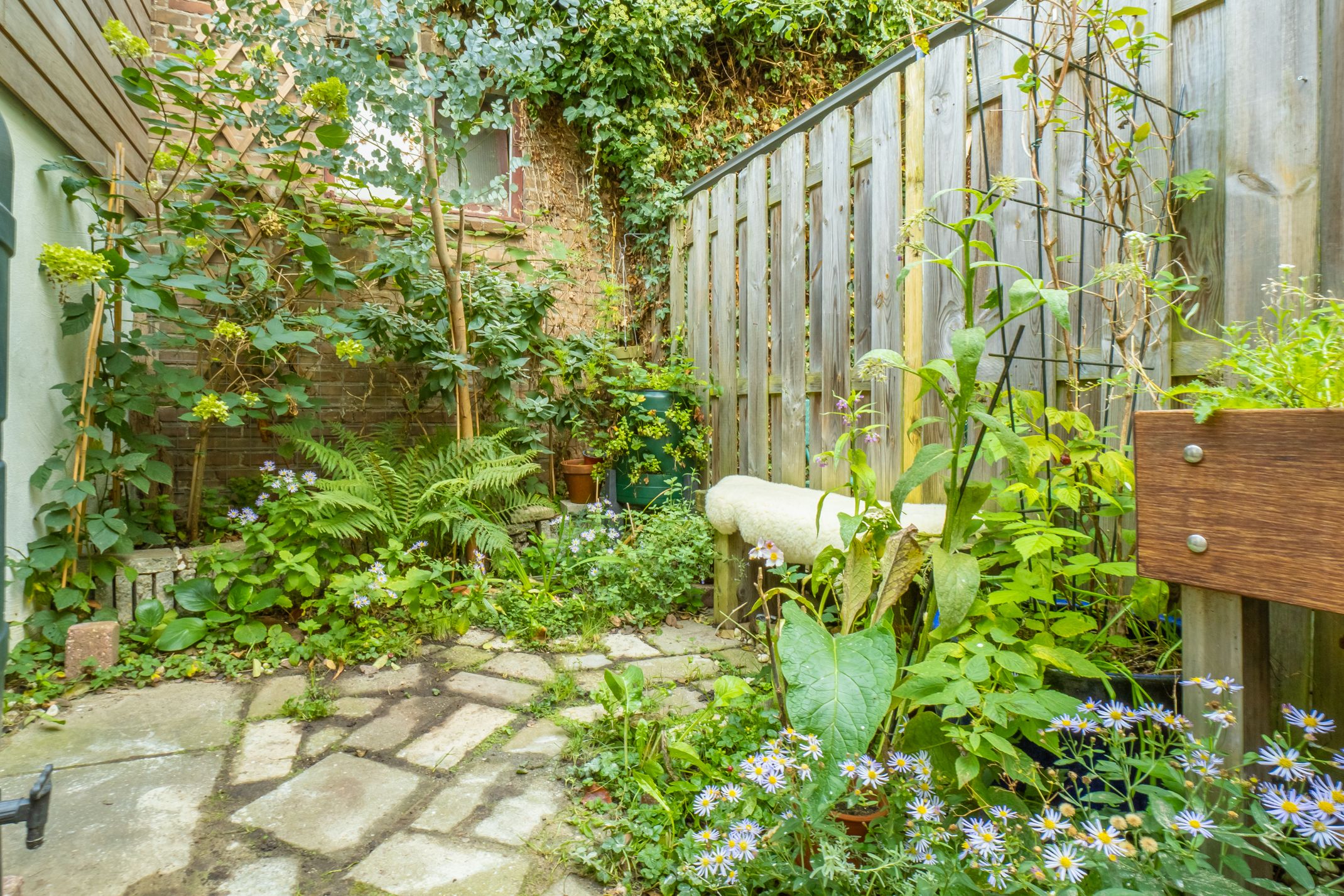 Foto 48 van Herman Modedstraat 8