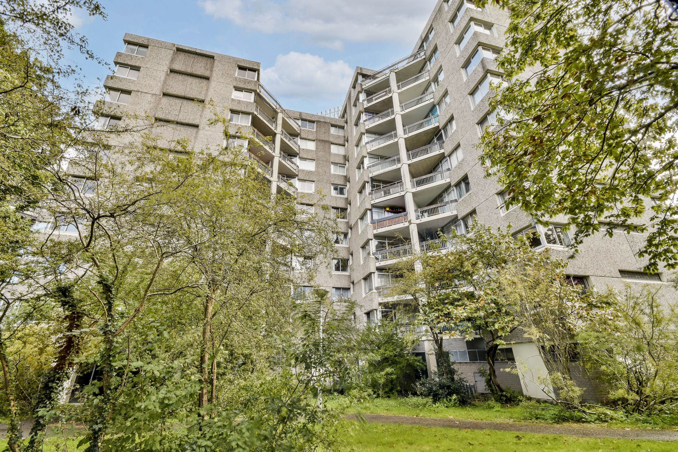 Foto 3 van Groenhoven 322