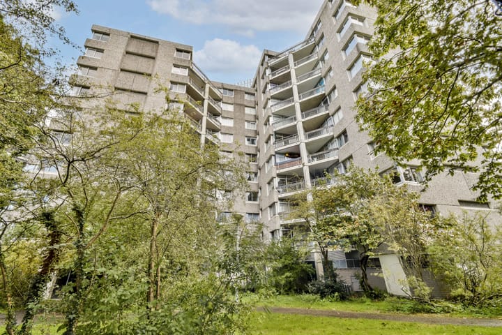 Foto 3 van Groenhoven 322