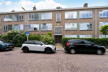 Pieter Meinersstraat thumbnail