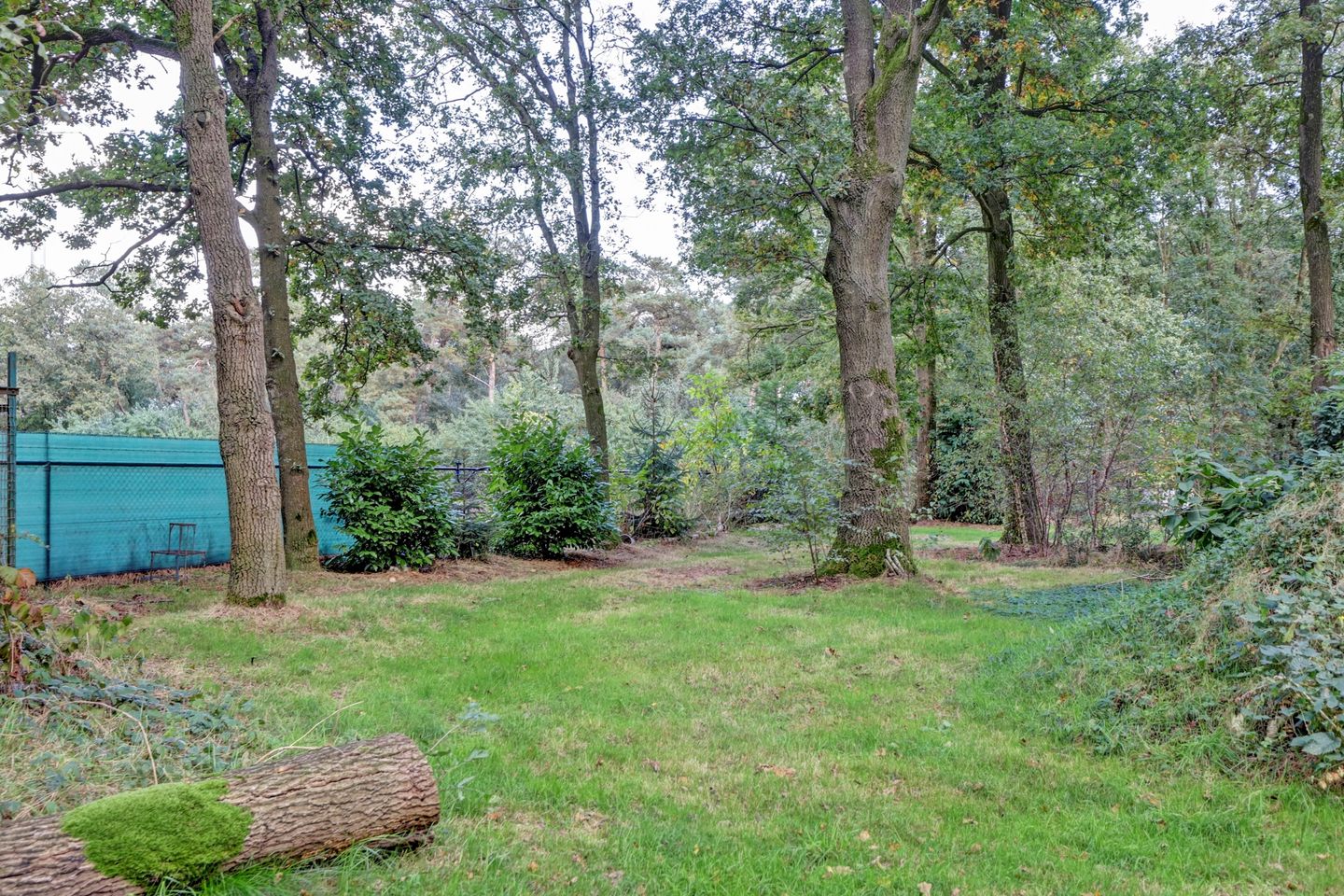 Foto 55 van Haambergweg 10