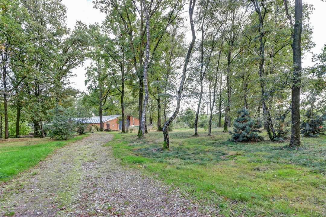 Foto 58 van Haambergweg 10