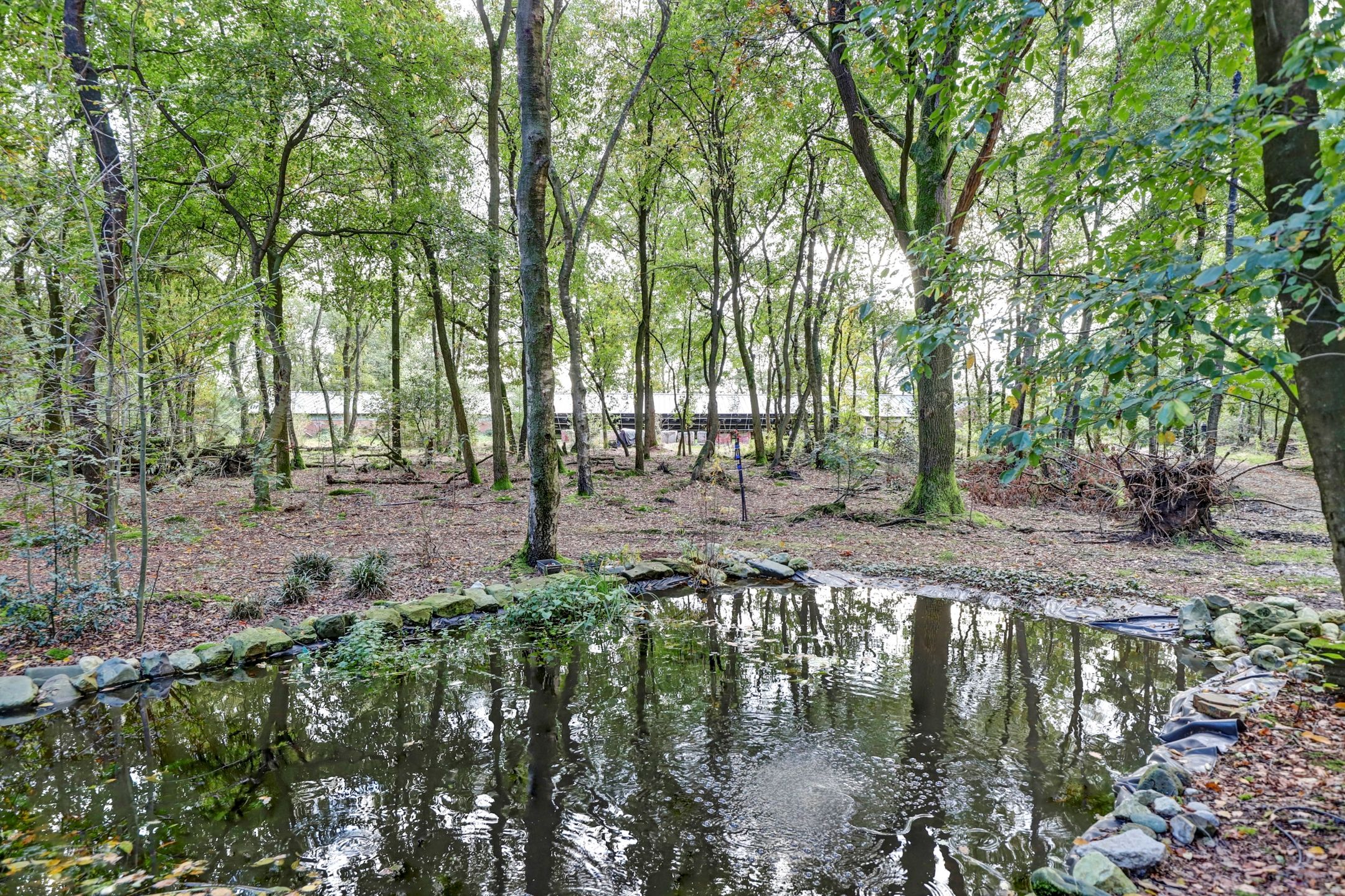 Foto 60 van Haambergweg 10