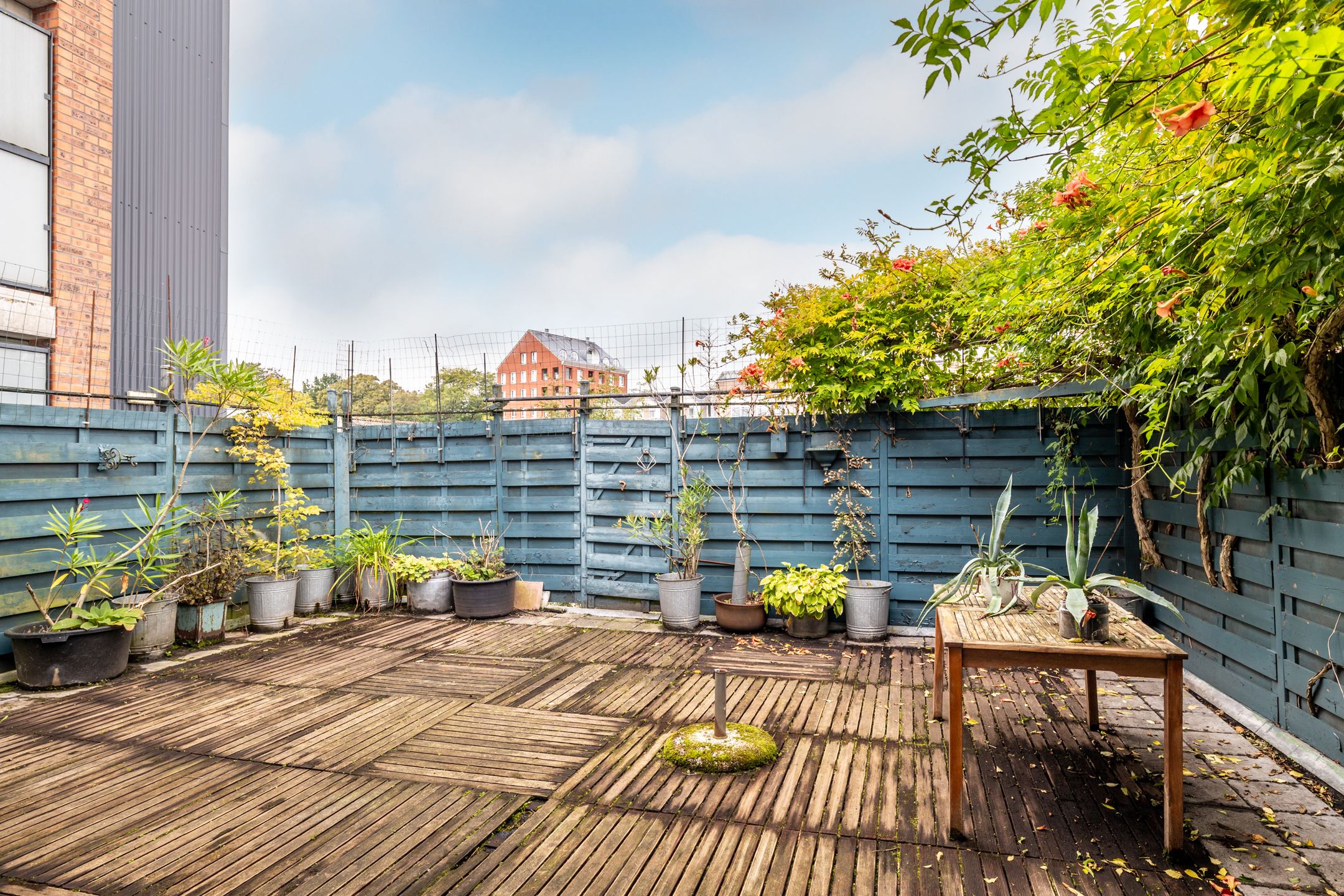 Foto 33 van Boschstraat 91