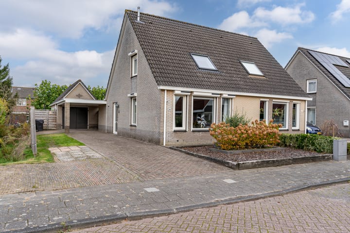 undefined main image