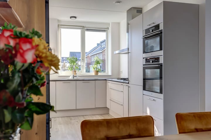 Foto 9 van Heivlinder 11