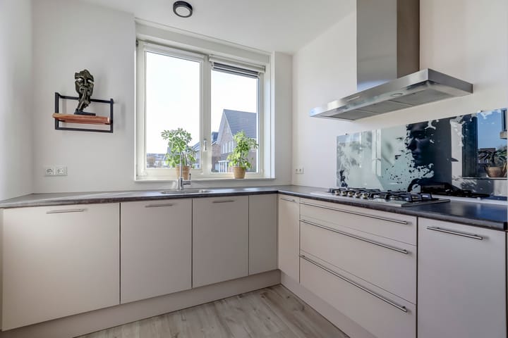 Foto 12 van Heivlinder 11