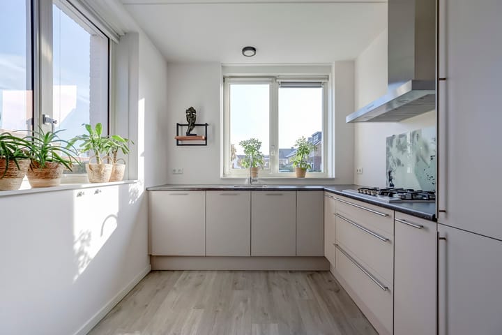 Foto 13 van Heivlinder 11