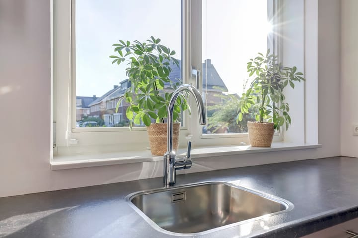 Foto 14 van Heivlinder 11