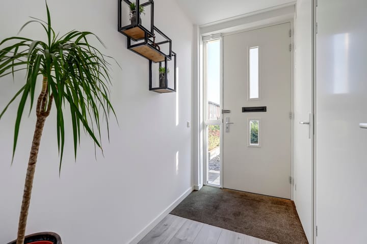 Foto 16 van Heivlinder 11