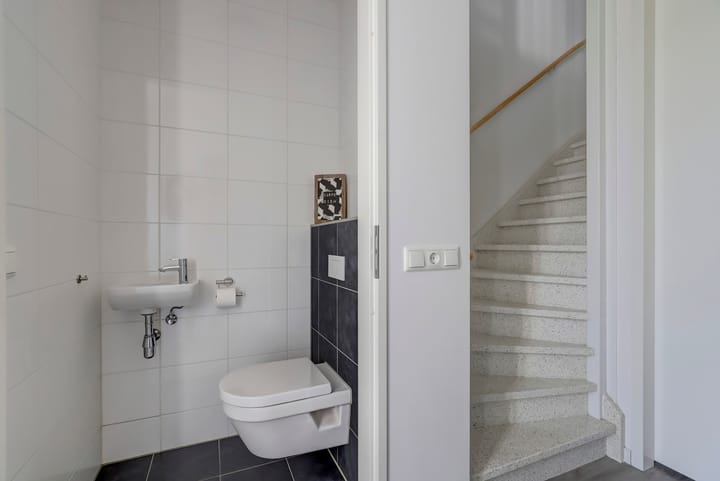 Foto 17 van Heivlinder 11