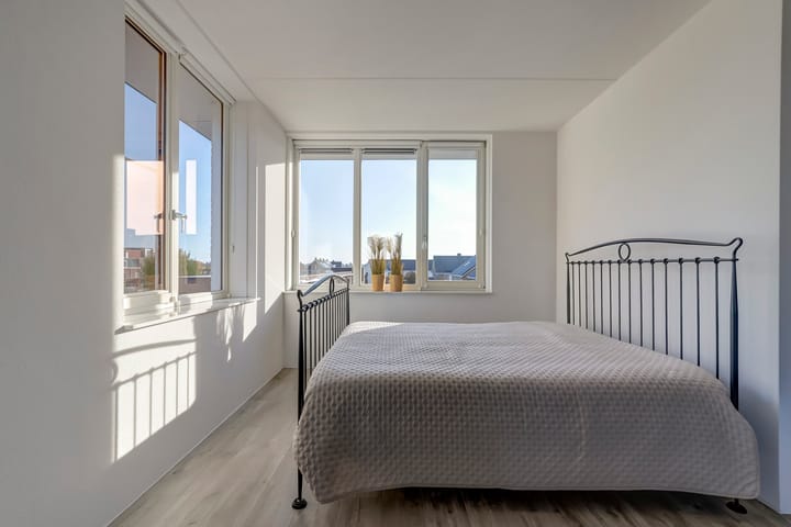 Foto 18 van Heivlinder 11