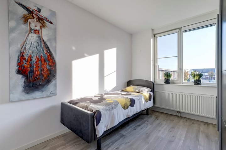 Foto 22 van Heivlinder 11