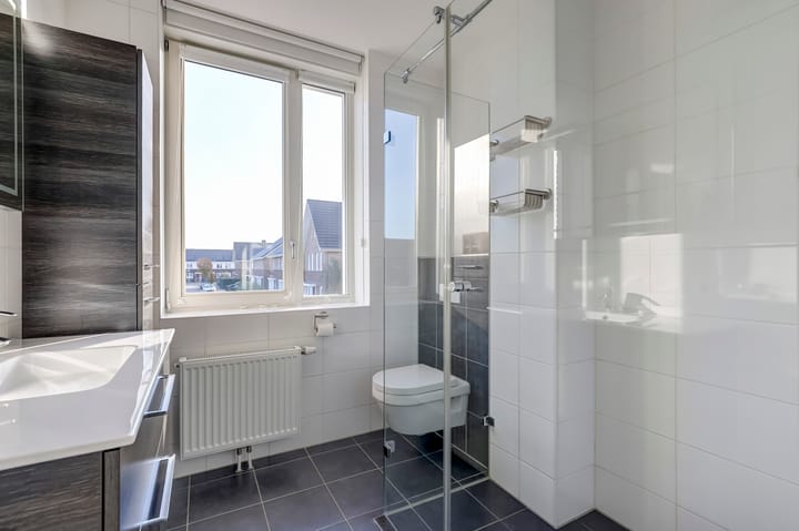 Foto 26 van Heivlinder 11