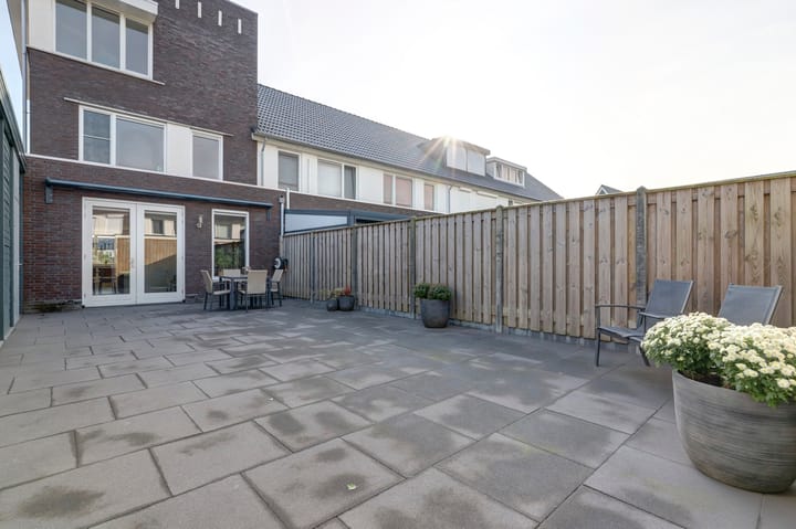 Foto 41 van Heivlinder 11