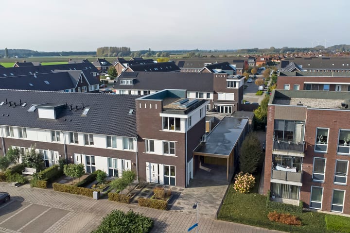 Foto 42 van Heivlinder 11