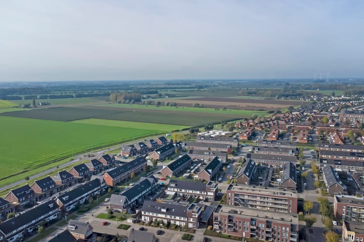 Foto 43 van Heivlinder 11